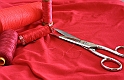 Red composition - (IMG_5597_1)